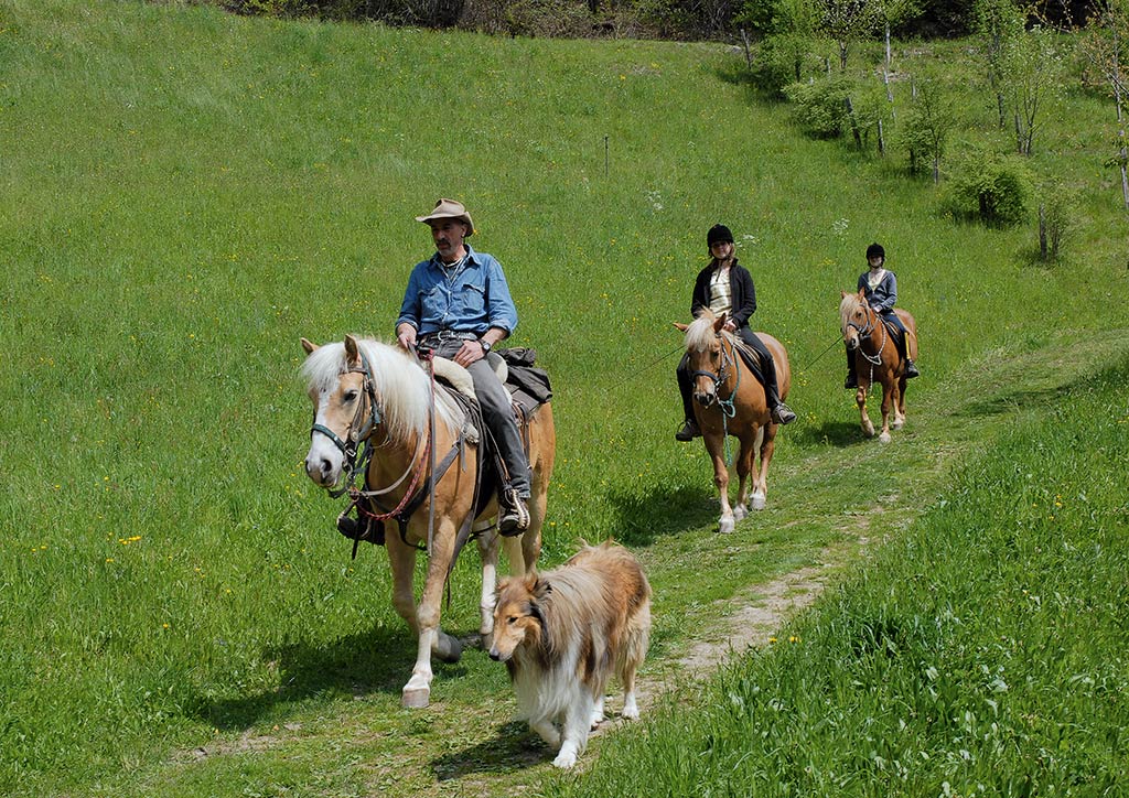 suedtirol-passeiertal_5